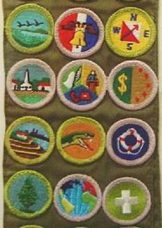 merit badge sash